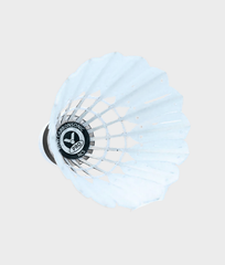 Victor NCS Pro Shuttlecock